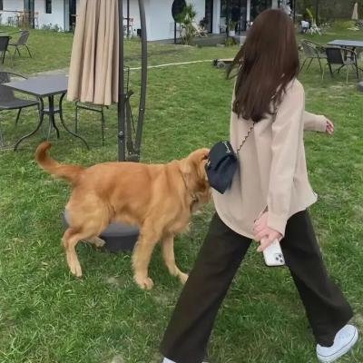 分手男女