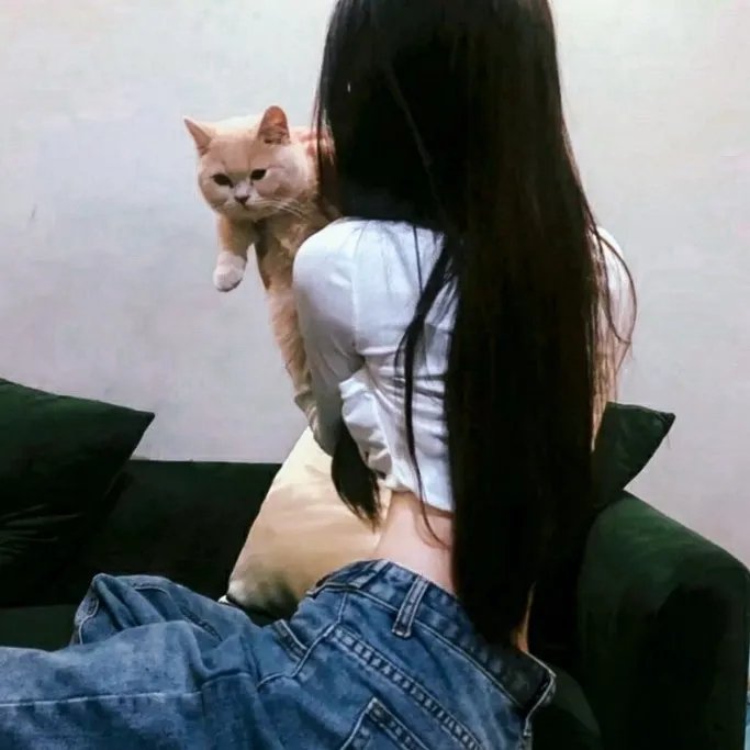 纸牌屋第四季